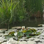 Secesja Nyaraló Przygodzice