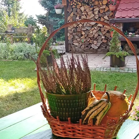 Secesja *