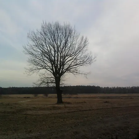 度假居 Secesja Przygodzice