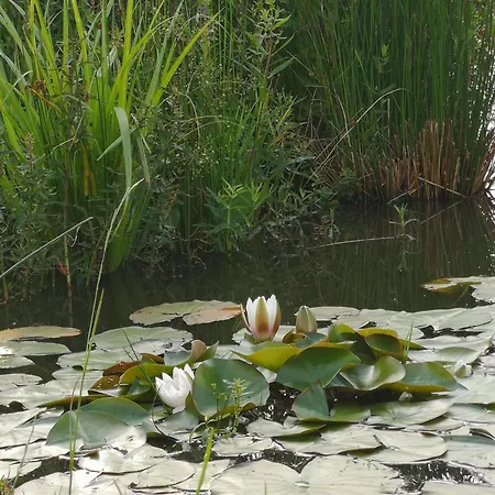 Secesja 度假居 Przygodzice