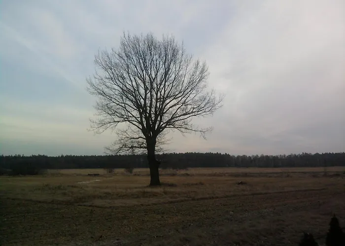 בית נופש Secesja Przygodzice