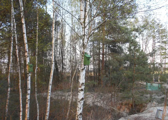 Secesja בית נופש *