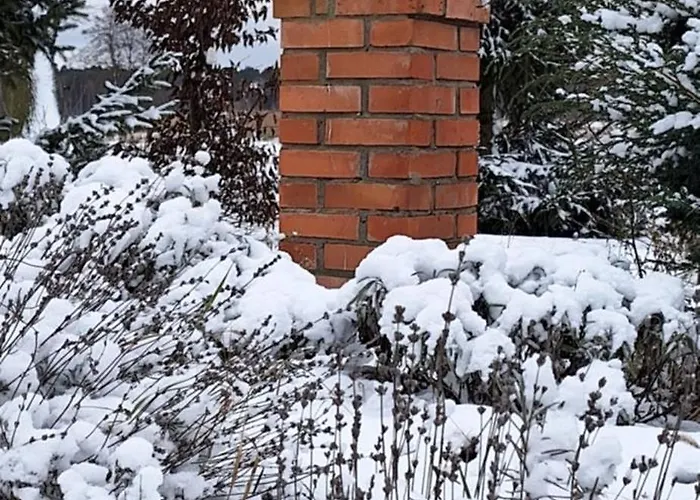 Secesja בית נופש *