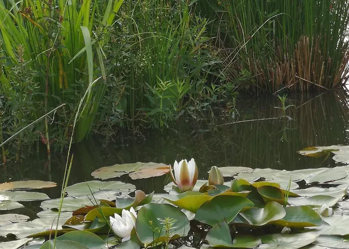 Secesja בית נופש Przygodzice